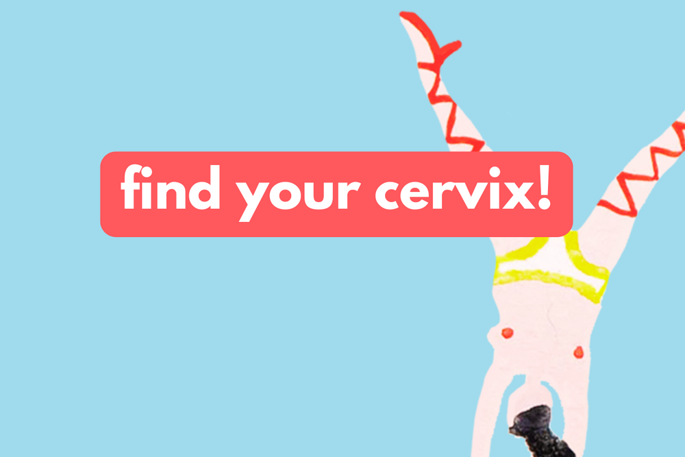 Leaking with your menstrual disc? It might be your cervix! Learn how to find it, position your disc correctly, and stop leaks before they start. Empower your period.